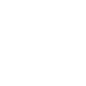 icone-cdn cdn
